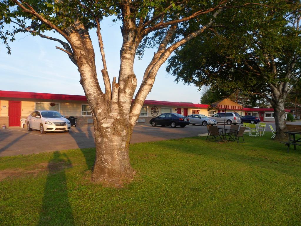 The Silver Birch Motel Goderich Esterno foto